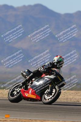 media/Nov-11-2023-SoCal Trackdays (Sat) [[efd63766ff]]/Turn 8 Set 2 (1040am)/